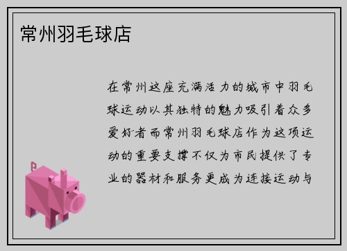 常州羽毛球店