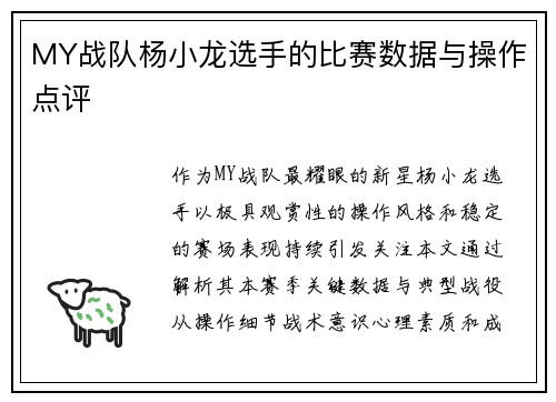 MY战队杨小龙选手的比赛数据与操作点评